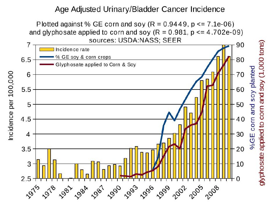 Urinary Bladder Cancer