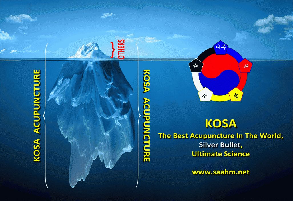 KOSA Acupuncture in Tulsa OK Provided By Master Kim