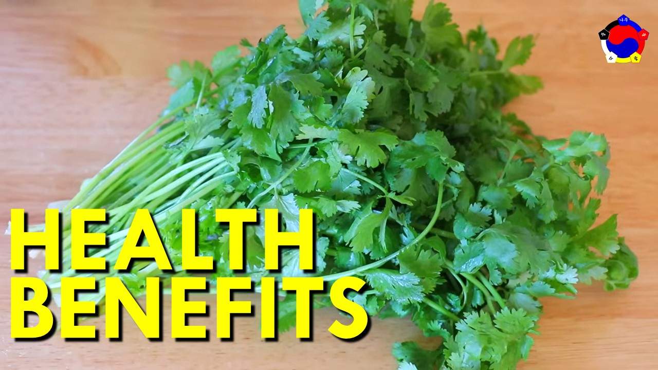 Health Benefits Of Cilantro